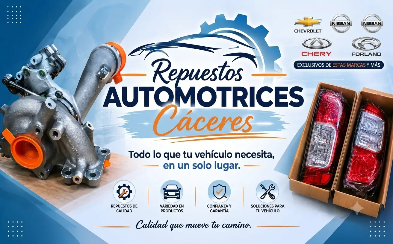 Repuestos Automotrices Cáceres – Top 9 en Google en 1 mes